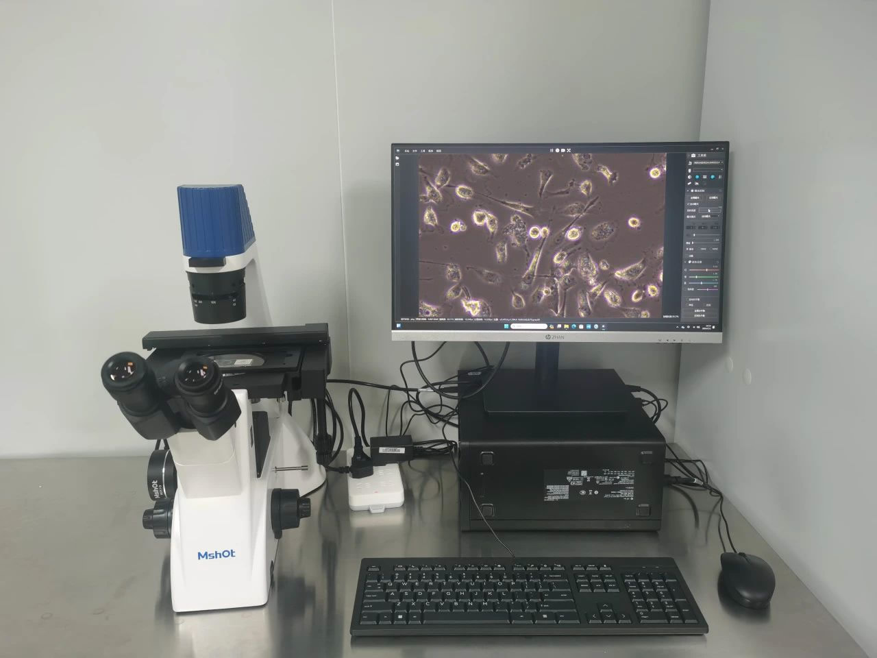 Mshot明美携手大型细胞科技公司，共绘细胞治疗新蓝图！