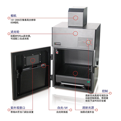 森西赛智科技 ChampGel® 全自动凝胶成像分析系统