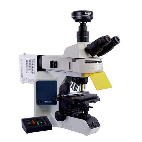 广州明美 正置荧光显微镜 MF43-N