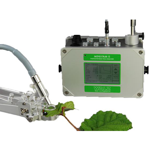 小型叶绿素荧光仪——MINI-PAM