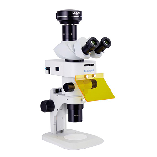 广州明美 体视荧光显微镜 MZX81