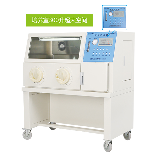 上海新苗 YQX-Ⅱ厌氧培养箱