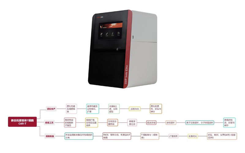 彩色条带闪耀CAR-T质粒构建——耶拿UVP Solo Elite 凝胶成像